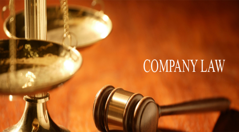 Презентация company law